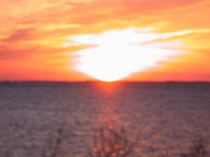 dscn3375_thumb.jpg
