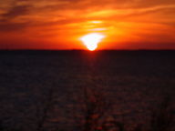dscn3379_thumb.jpg