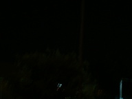 dsc00156_thumb.jpg
