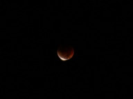 dsc00172_thumb.jpg