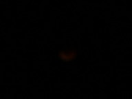 dsc00184_thumb.jpg