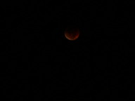 dsc00195_thumb.jpg