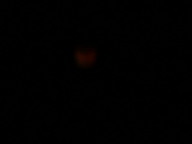 dsc00198_thumb.jpg