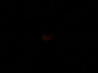 dsc00206_thumb.jpg