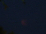 dsc00226_thumb.jpg