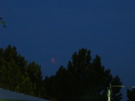 dsc00238_thumb.jpg