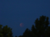 dsc00239_thumb.jpg