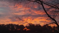 2012-01-10_07-29-54_143_thumb.jpg