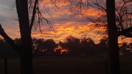 2012-01-10_07-30-22_628_thumb.jpg