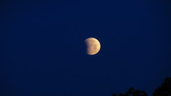 img_1567_thumb.jpg