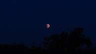 img_1571_thumb.jpg