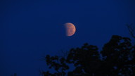 img_1577_thumb.jpg