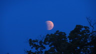 img_1580_thumb.jpg