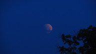 img_1586_thumb.jpg
