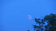 img_1589_thumb.jpg
