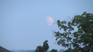 img_1591_thumb.jpg