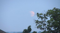 img_1592_thumb.jpg