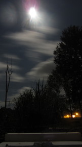 img_2908_thumb.jpg