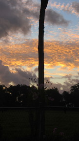 img_2918_thumb.jpg