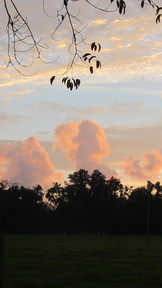 img_2927_thumb.jpg