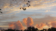 img_2928_thumb.jpg