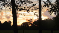 img_2931_thumb.jpg