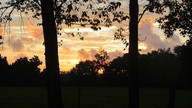 img_2933_thumb.jpg