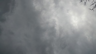 20170821_134733_thumb.jpg