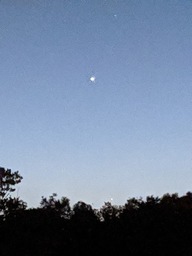 img_20200519_211005_thumb.jpg