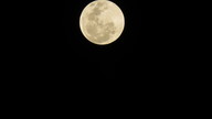 img_3460_thumb.jpg