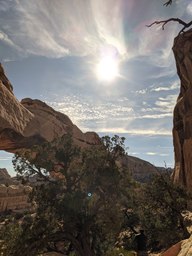 pxl_20231014_163134234_thumb.jpg