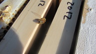 argent20120425_6_thumb.jpg