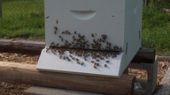 20120521_175731_thumb.jpg