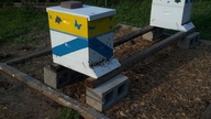 20120521_185640_thumb.jpg