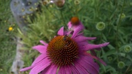 20120602_102144_thumb.jpg