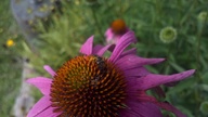 20120602_102152_thumb.jpg