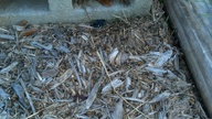 20120814_072220_thumb.jpg