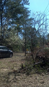 20140310_143718_thumb.jpg