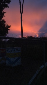 dawn1_thumb.jpg