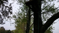 20150318_175914_thumb.jpg