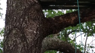 20150318_180138_thumb.jpg