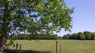 20150329_141157_thumb.jpg