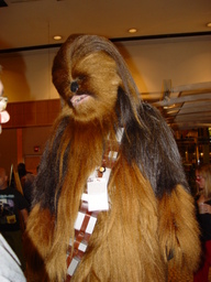 dsc03749_thumb.jpg