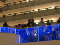 img_0177_thumb.jpg
