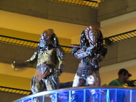 img_0178_thumb.jpg
