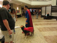 super_dog_thumb.jpg