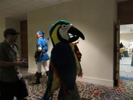 toucan_thumb.jpg