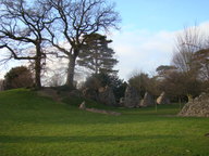 dsc01162_thumb.jpg