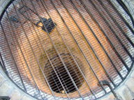 dsc01583_thumb.jpg
