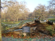 elizebeth_oak_thumb.jpg